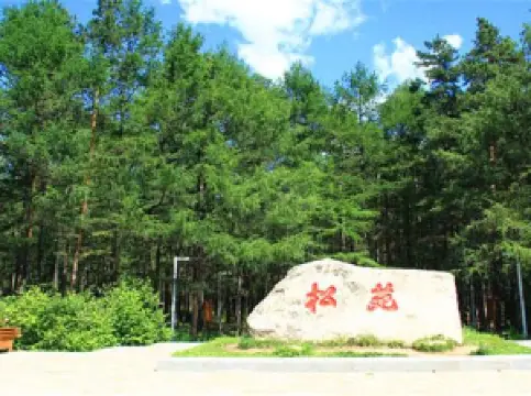 漠河の人気春旅におすすめ