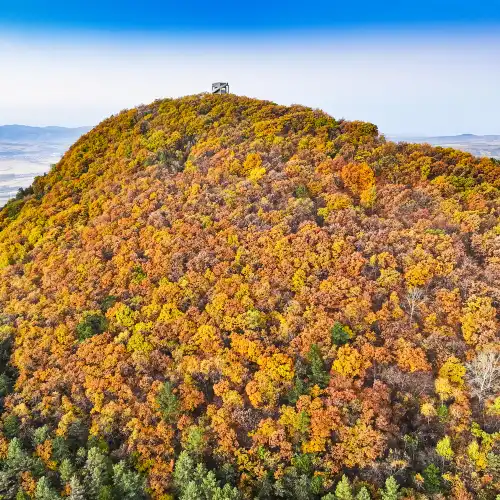 Popular Fall Viewing Attractions in Yanji