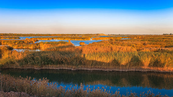 Bayan Nur National Geopark