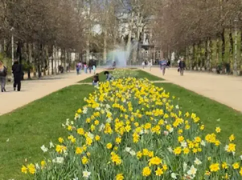 ブリュッセルの人気春旅におすすめ