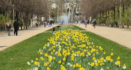 Parc de Bruxelles