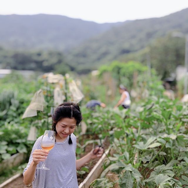 非一般農莊體驗