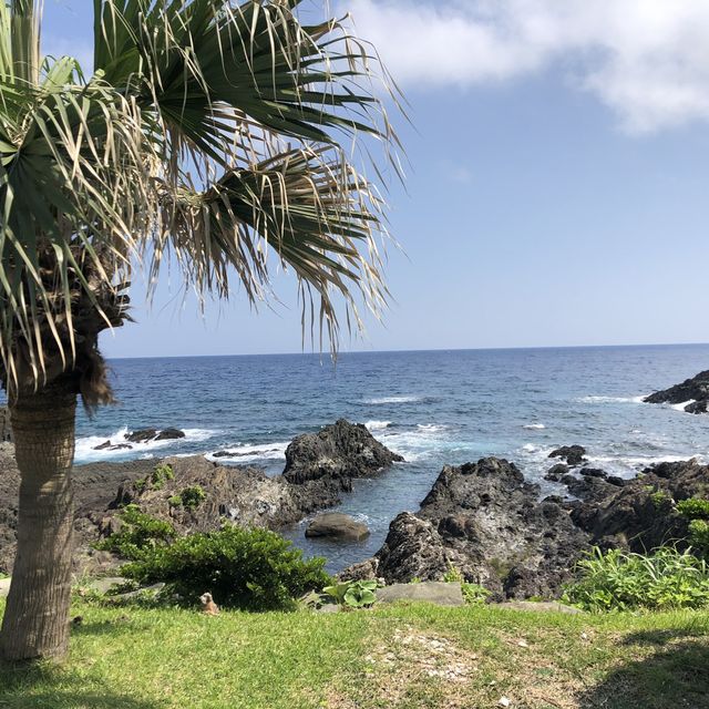 屋久島〜宮之浦港