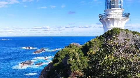 Don't get me started, as a big international traveller you c — traveler post in Forster