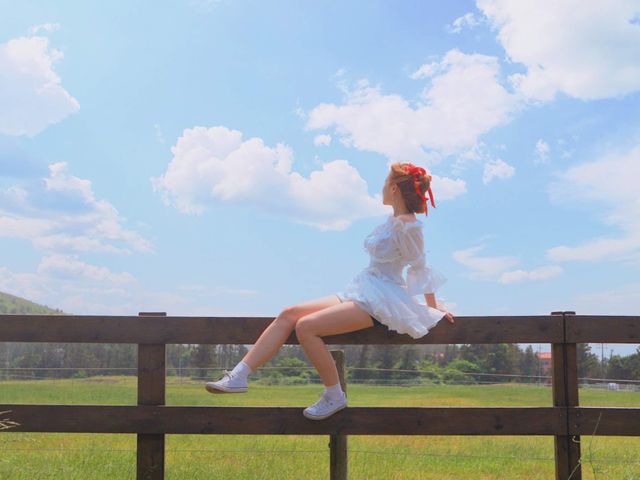 자연자연한 여행지 '성이시돌 목장'