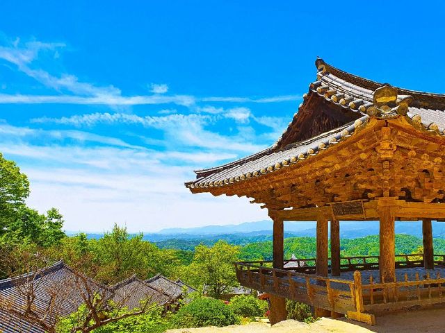 최고의 풍경 맛집! 영주 부석사!