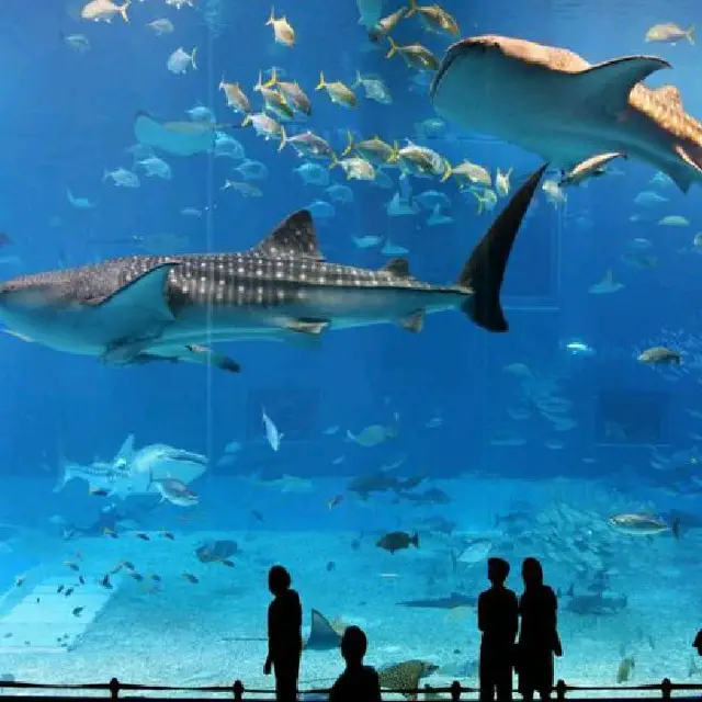 Biggest Aquarium Tank in the World