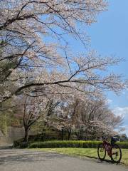 타마가와 녹지 훗사카니자카 공원