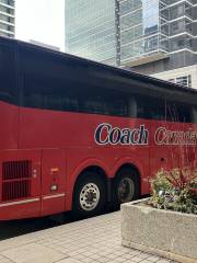 Toronto Coach Bus