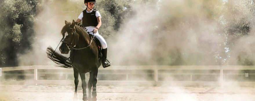 Kerguélen Equitation