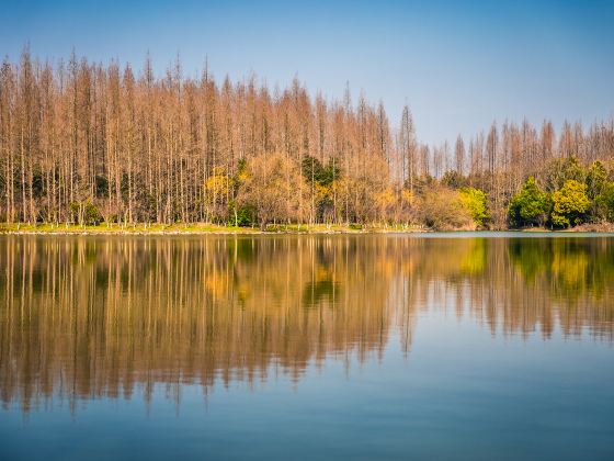 Dongping National Forest Park