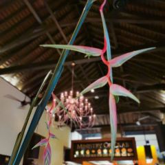 Ministry of Crab User Photo