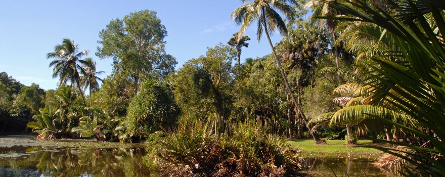 Cairns Botanic Gardens