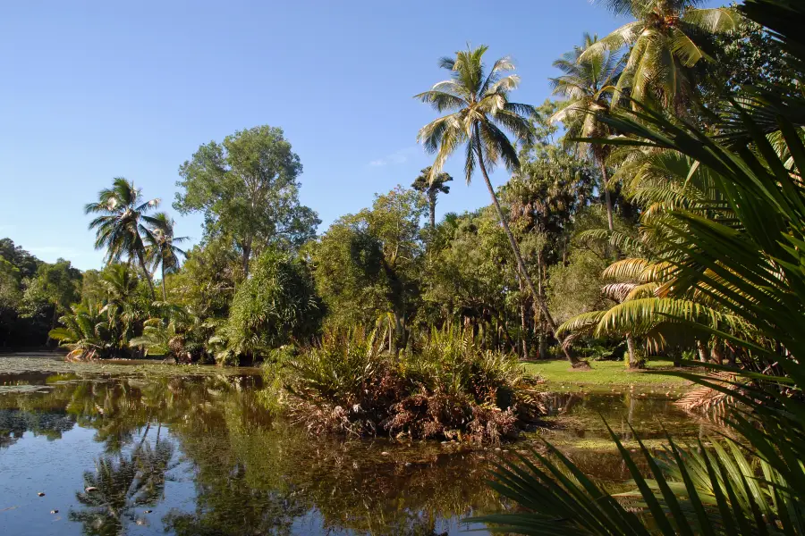 Cairns Botanic Gardens