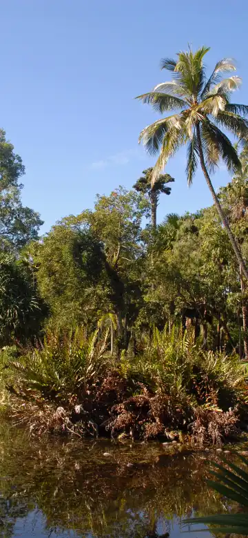 Hotels near Tanks Arts Centre