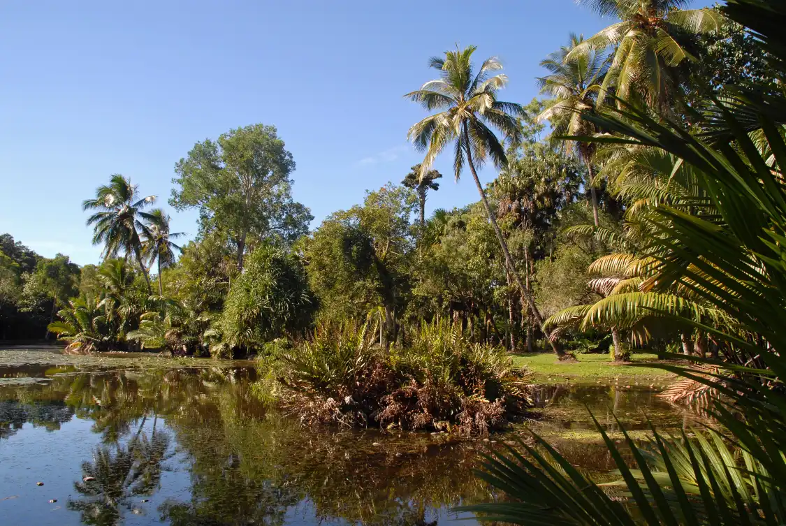 Hotel dekat Cairns Botanic Gardens