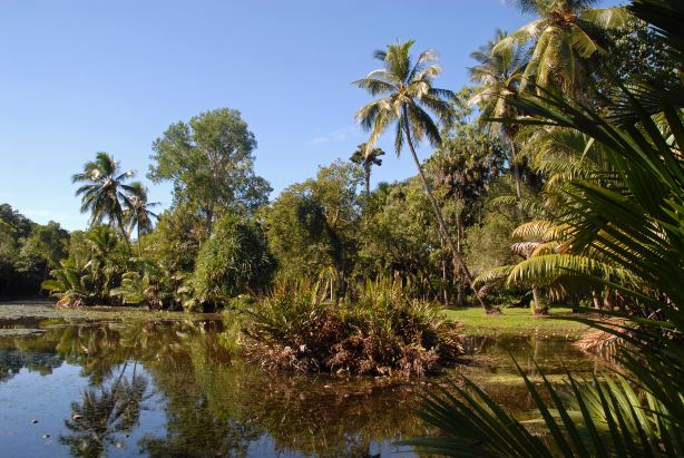 Cairns Botanic Gardens