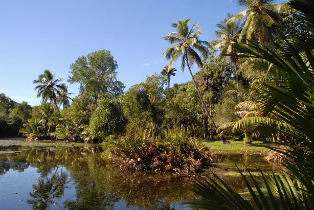 Cairns Botanic Gardens