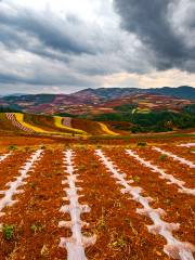 東川紅土地