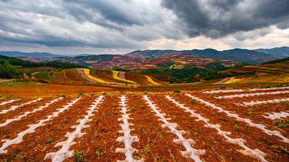 Kunming