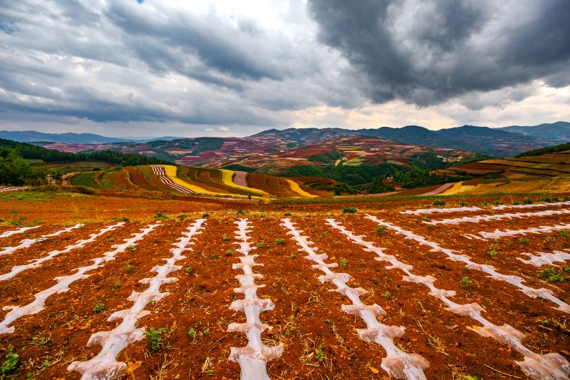 Dongchuan Red Land