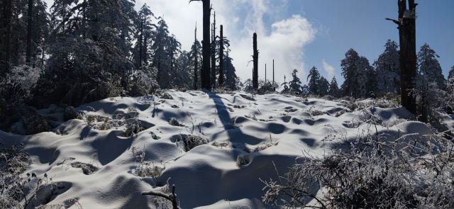 Wawushan Mountain Area