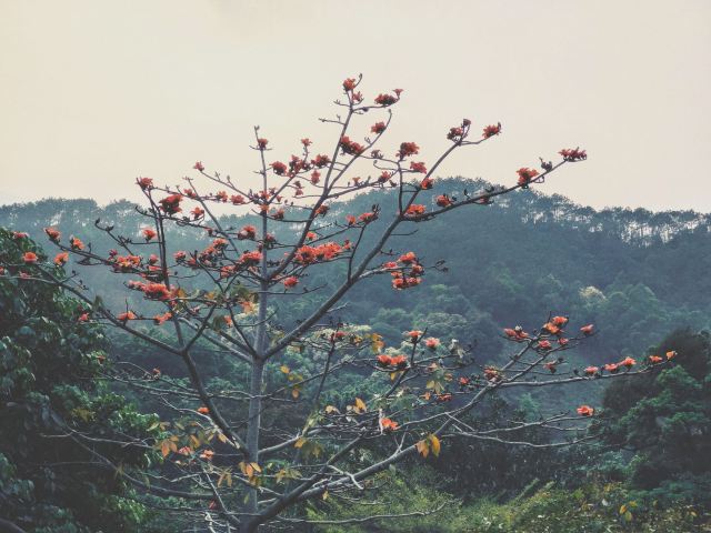 Xinxing Tianlushan Resort