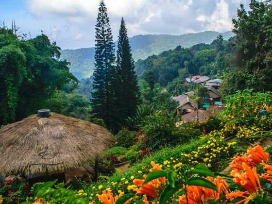 Hmong Doi Pui Village