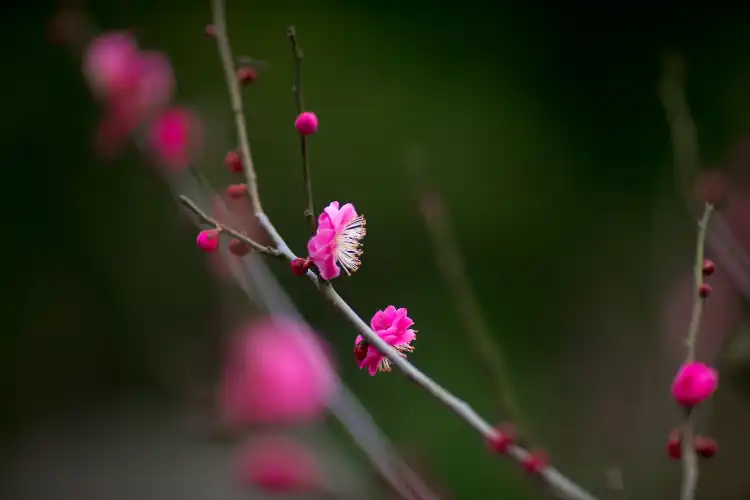 石城