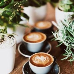 Flour Bakery + Cafe User Photo