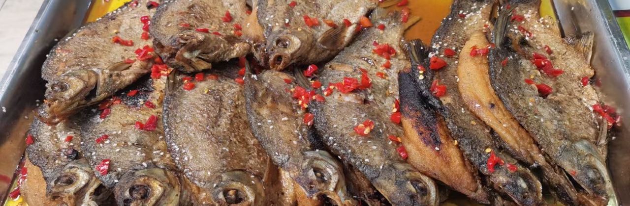 BA XU LU JI MAO ZUI DIAN