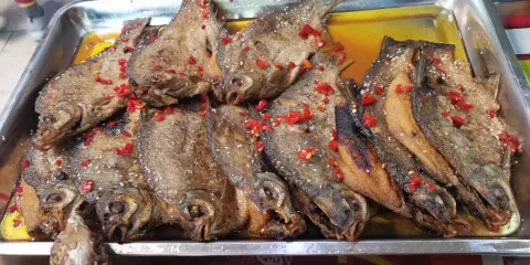 八須滷雞(毛嘴店)