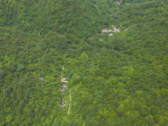 栲栳山景區