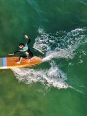 Shaka SURF Shaka Surfing (R & F Bay Shop)