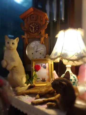 แจกแผนทริปอัมพวา ฉบับเริงร่าเคียงสายน้ำ