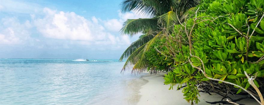 Canigao Island