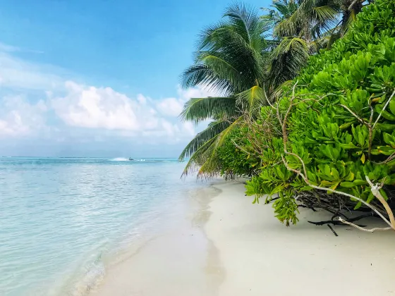 Vé máy bay Tacloban Pagadian