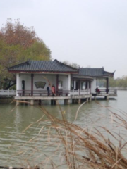 Huaxi Misty Rain, Longhu Park