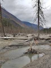 Meager Creek Hotspring