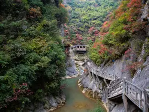 Longnan Xixiasong Cliff