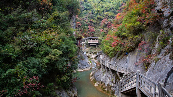 Longnan Xixiasong Cliff
