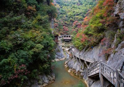 Longnan Xixiasong Cliff