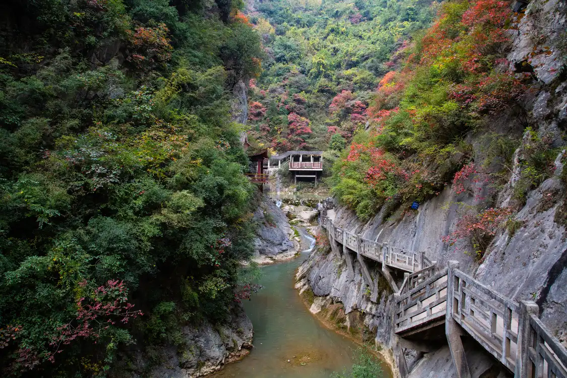 Hotels near Longnan Xixiasong Cliff