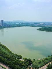 江蘇九里湖國家濕地公園