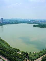 Jiulihu Wetland Park