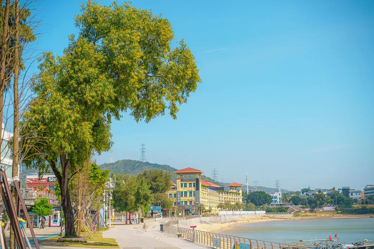 5_OCT Dapeng Tourist Area