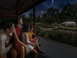 Night Safari