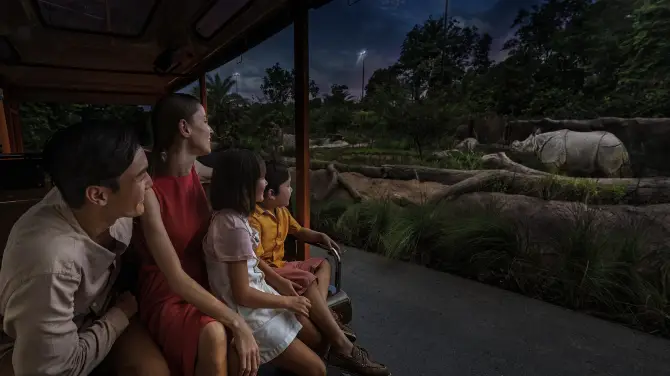 5_Night Safari