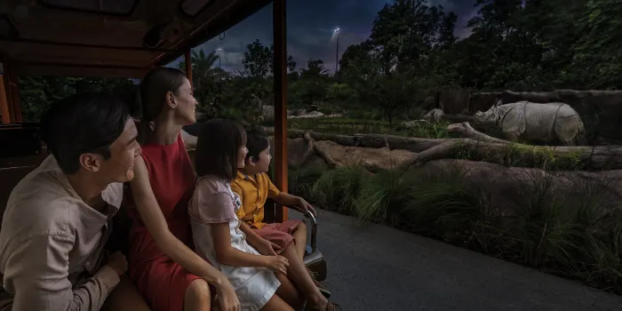 Night Safari image 2