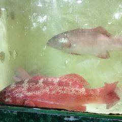 新河饭店(新河路店) User Photo